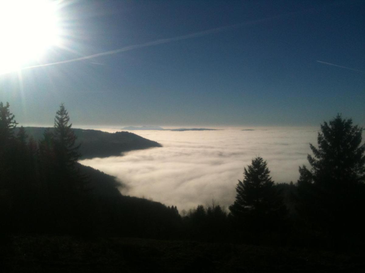 Les Gites De La Serva - Champ Du Feu - Montagnes- Vosges Belmont  Εξωτερικό φωτογραφία